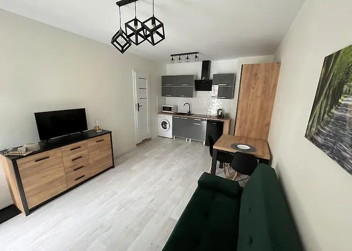 Apartament F Mazowiecka 29 Self-Check-In